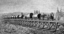 Steam train carrying trunks of giant trees in California, engraving of 1886