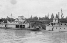 Steamboats, between c1900 and 1916. Creator: Unknown