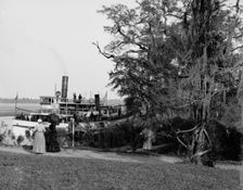 Steamer landing, Magnolia-on-the-Ashley, Charleston, S.C., between 1900 and 1910. Creator: Unknown