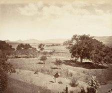 Steel's Ranch, San Luis Obispo, 1876, printed ca. 1876. Creator: Carleton Emmons Watkins