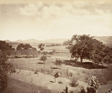 Steel's Ranch, San Luis Obispo, 1876, printed ca. 1876. Creator: Carleton Emmons Watkins
