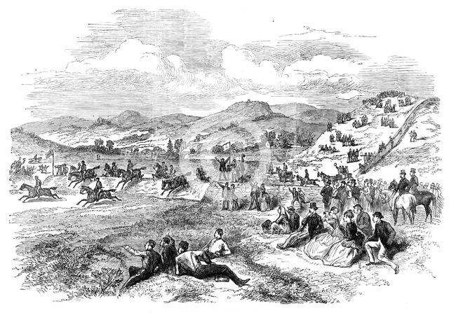 Steeplechase at Punchestown Races, 1870. Creator: Unknown.
