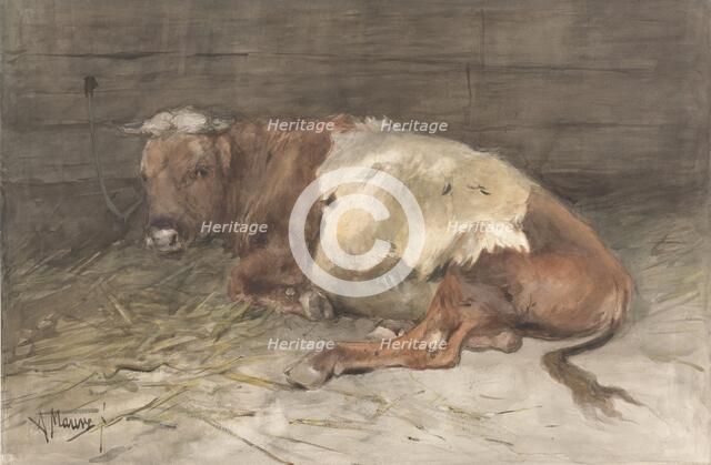 Steer lying down, 1848-1888. Creator: Anton Mauve.