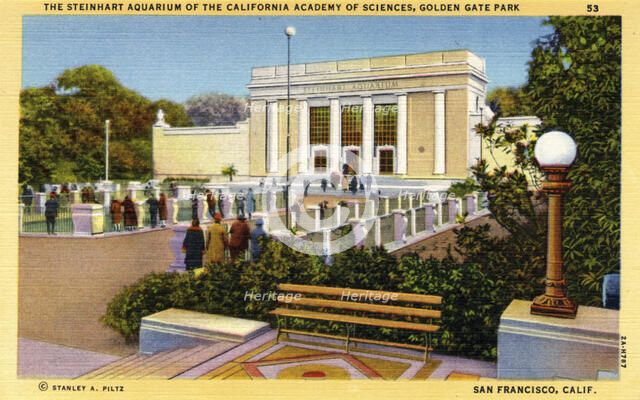 Steinhart Aquarium of the California Academy of Sciences, San Francisco, California, USA, 1932. Artist: Unknown