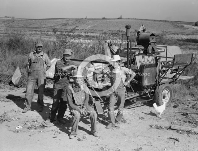 Stephen brothers, Joe, Jim, Eugene, Fred, Nyssa Heights district, Malheur County, Oregon, 1939. Creator: Dorothea Lange.
