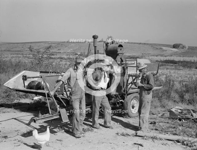 Stephen brothers, Nyssa Heights district, Malheur County, Oregon, 1939. Creator: Dorothea Lange.