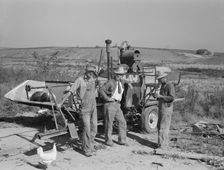 Stephen brothers, Nyssa Heights district, Malheur County, Oregon, 1939. Creator: Dorothea Lange