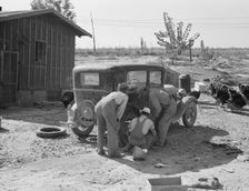 Stephens brothers, who own combine cooperatively..., Nyssa Heights district, Oregon, 1939. Creator: Dorothea Lange