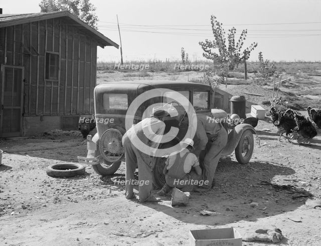 Stephens brothers, who own combine cooperatively..., Nyssa Heights district, Oregon, 1939. Creator: Dorothea Lange.