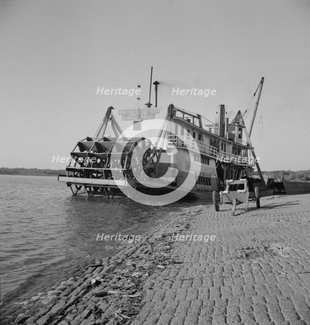 Stern wheeler pulled up to the municipal levee at Greenville, Mississippi, 1937. Creator: Dorothea Lange.