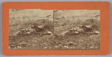 Stereograph of a deceased soldier on the battlefield after Gettysburg, 1863. Creator: Alexander Gardner