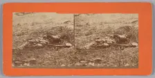 Stereograph of a deceased soldier on the battlefield after Gettysburg, 1863. Creator: Alexander Gardner
