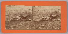 Stereograph of a deceased soldier on the battlefield after Gettysburg, 1863. Creator: Alexander Gardner