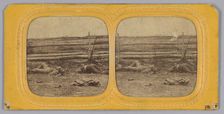 Stereograph of deceased Confederate soldiers near a fence at Antietam, Maryland, 1862. Creator: Alexander Gardner