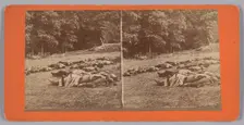 Stereograph of deceased soldiers on the battlefield after Gettysburg, 1863. Creator: Tim O'Sullivan