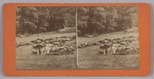 Stereograph of deceased soldiers on the battlefield after Gettysburg, 1863. Creator: Tim O'Sullivan