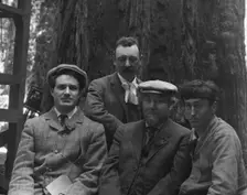 Sterling, George and Herman Scheffauer, with two other men, in front of a redwood, c1906-1911. Creator: Arnold Genthe