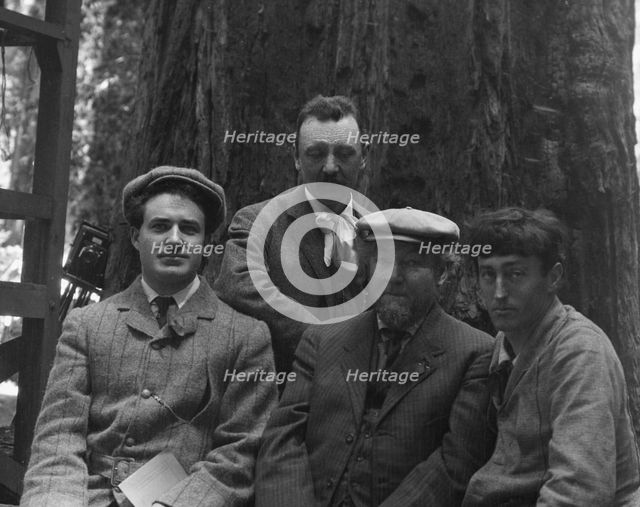 Sterling, George and Herman Scheffauer, with two other men, in front of a redwood, c1906-1911. Creator: Arnold Genthe.