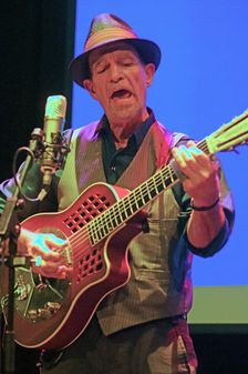 Steve James, Crawley Blues Festival, Crawley, East Sussex, 2014. Artist: Brian O'Connor