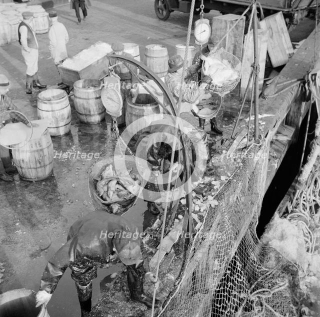 Stevedores at the Fulton fish market unloading fish from boats caught..., New York, 1943. Creator: Gordon Parks.