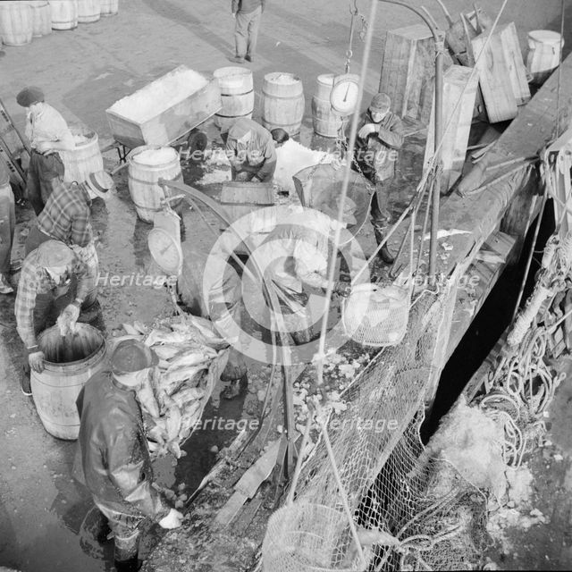Stevedores at the Fulton fish market unloading fish from boats caught..., New York, 1943. Creator: Gordon Parks.