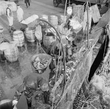 Stevedores at the Fulton fish market unloading fish from boats caught..., New York, 1943. Creator: Gordon Parks
