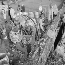 Stevedores at the Fulton fish market unloading fish from boats caught..., New York, 1943. Creator: Gordon Parks