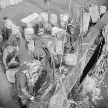 Stevedores at the Fulton fish market unloading fish from boats caught..., New York, 1943. Creator: Gordon Parks