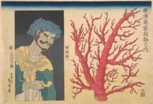 Stick of Coral and a Portrait of South Sea Islander, 3rd month, 1860. Creator: Sadahide Utagawa