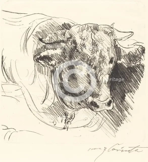 Stierkopf (Head of a Steer), 1912. Creator: Lovis Corinth.
