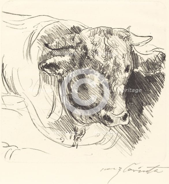 Stierkopf (Head of a Steer), 1912. Creator: Lovis Corinth.