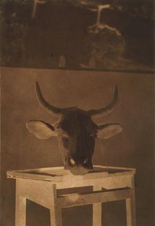 [Still Life], 1850. Creator: Louis-Rémy Robert