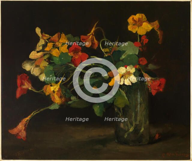 Still Life with Nasturtiums.