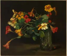 Still Life with Nasturtiums