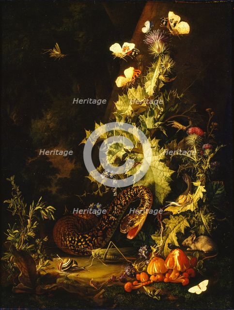 Still Life with a Snake, early 18th century. Artist: Elias Van Den Broeck.