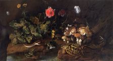 Still life with a snake, frogs, tortoise and lizard 1656-1673. Creator: Paolo Porpora