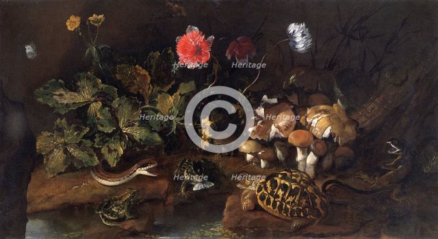 'Still life with a snake, frogs, tortoise and lizard', 1656-1673. Creator: Paolo Porpora.