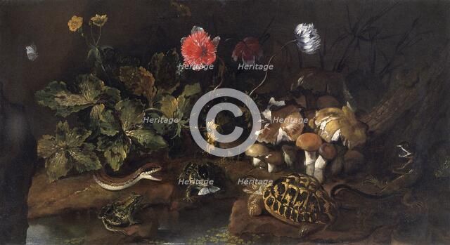 'Still life with a snake, frogs, tortoise and lizard', 1656-1673. Artist: Paolo Porpora