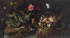 Still life with a snake, frogs, tortoise and lizard 1656-1673. Artist: Paolo Porpora