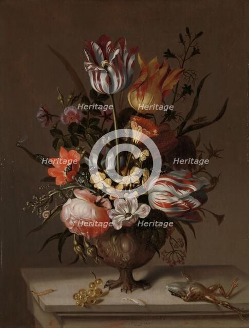 Still Life with a Vase of Flowers and a Dead Frog, 1634. Creator: Jacob Marrel.