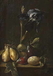 Still Life with an Iris and Plums. Creator: Attributed to Pietro Paolo Bonzi (1576-1636)