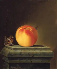Still Life with Apple and Insects, 1765. Creator: Justus Juncker
