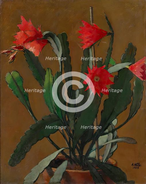 Still life with blooming cactus, 1929. Creator: Anton Hula.