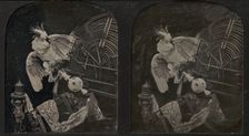 Still-Life with Cockatoo, Ornamental Ball, Lace, Statuette, 1850s. Creator: Thomas Richard Williams