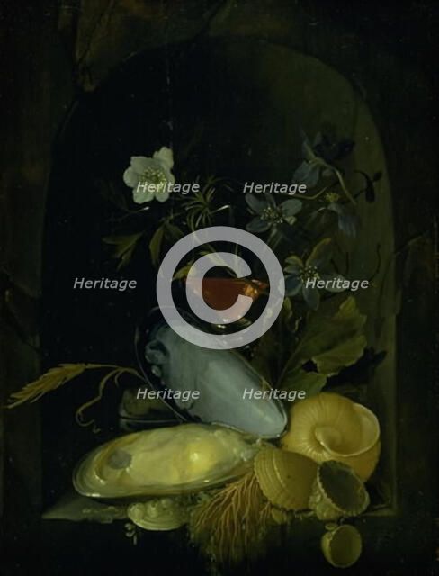 Still Life with Cockleshells and Blue Anemones, 1650-1681. Creator: Frans van Mieris.