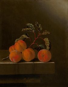 Still Life with Five Apricots, c1680-1700. Creator: Adriaen Coorte