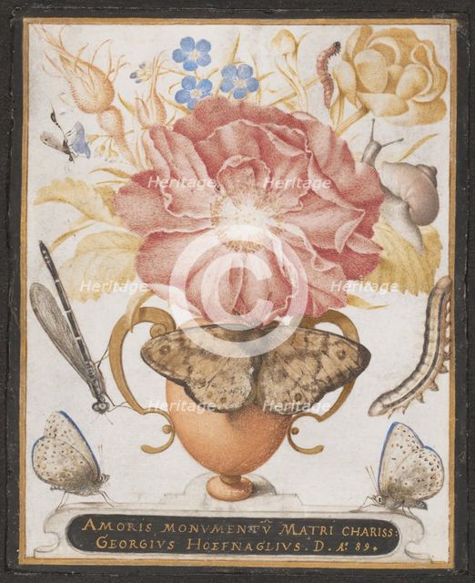 Still Life with Flowers, a Snail and Insects, 1589. Creator: Joris Hoefnagel.