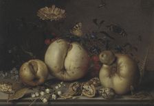 Still Life with Fruit and Shells. Creator: Balthasar van der Ast