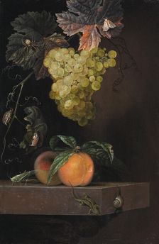 Still Life with Fruit, Lizard and Insects, 1664. Creator: Ottmar Elliger