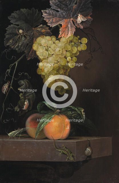 Still Life with Fruit, Lizard and Insects, 1664. Creator: Ottmar Elliger.
